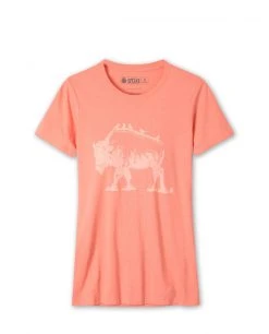 Brand new 👏 Stio Women's Bison Perch Tee 😀
